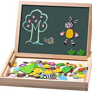 Magnetic Puzzles